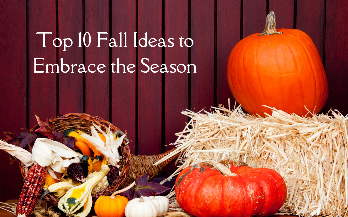 Featured image for “Top 10 Fall Ideas to Embrace the Season”